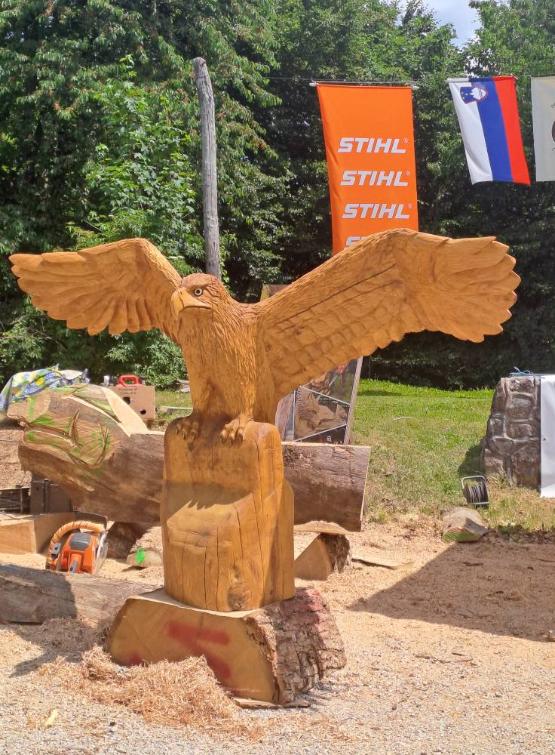 504614565 122170913186329568 8376648726672202616 n