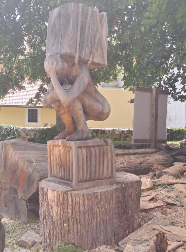 504669608 122170913438329568 139866479845691871 n