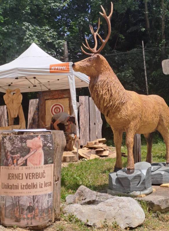 505037776 122170913396329568 6139452524585414667 n