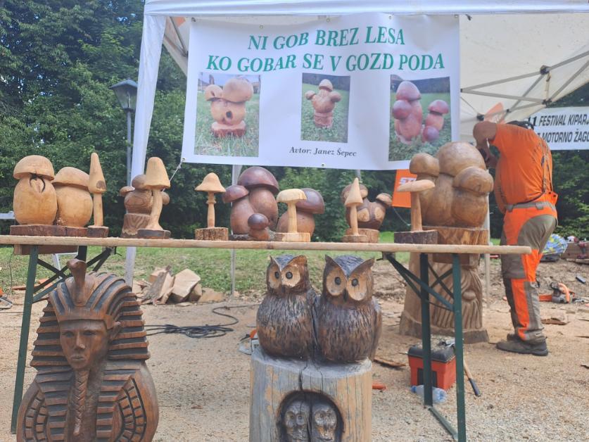 505122245 122170913912329568 6191528590671301942 n