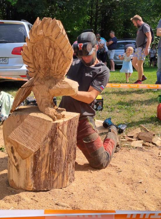 505378461 122171055026329568 7596400044654137053 n