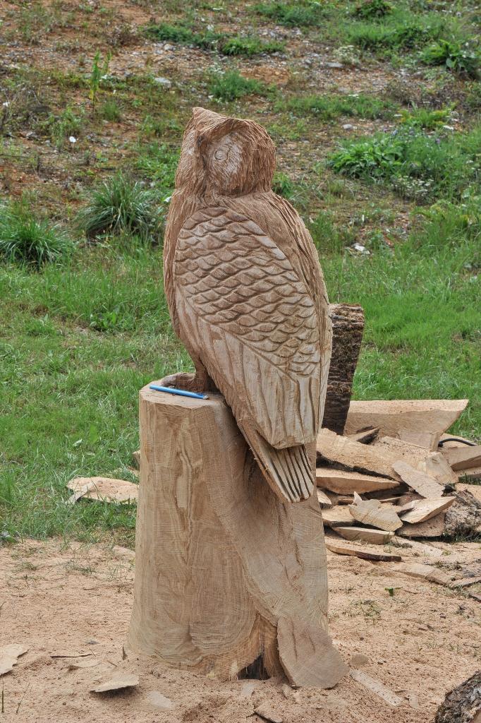 545343868 10233190993210178 1919899427122083248 n