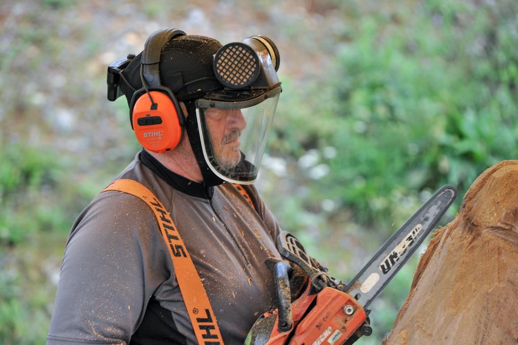 545840366 10233190989210078 6382415512400485075 n