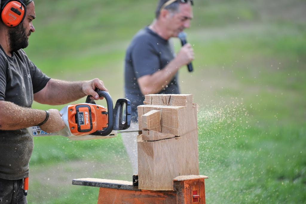 546595916 10233190991130126 3278747558536283902 n