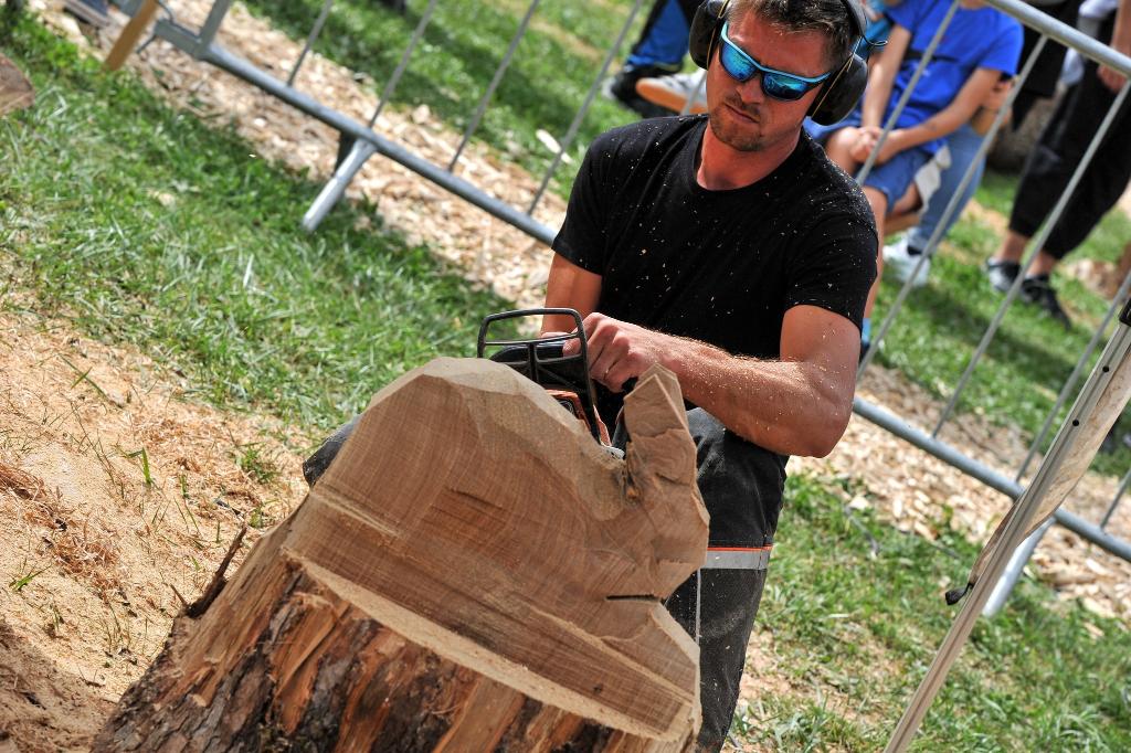 546621422 10233190993250179 8489725578876518157 n