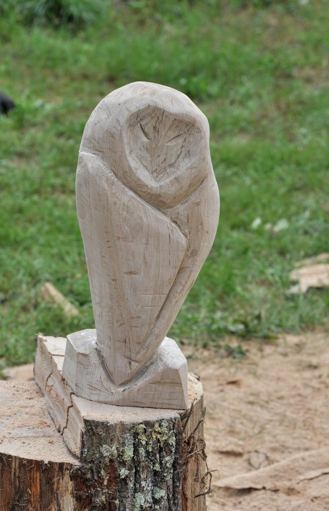 546622270 10233190999890345 7107518568579643336 n