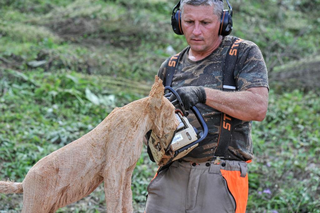 547124024 10233190989290080 8233837393883525587 n