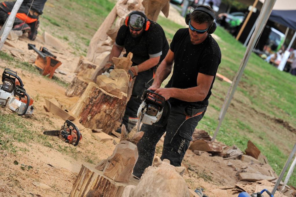 547239933 10233190995010223 1027681854529546054 n