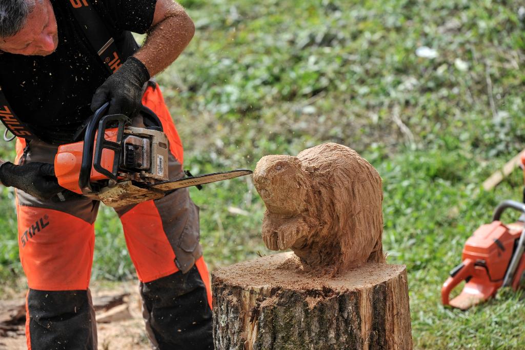 547240008 10233190995410233 3965246637754363317 n