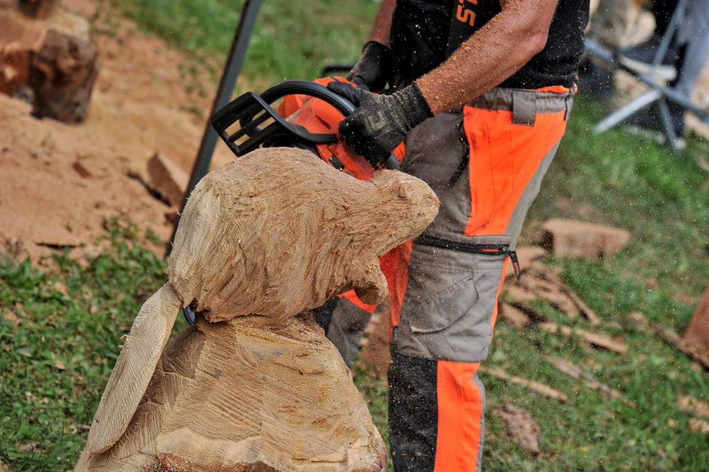 547961164 10233190989250079 2003816706367091733 n