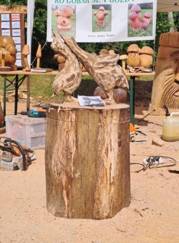 505338813 122171055242329568 6008360272330860183 n